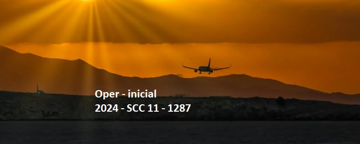SCC 11 INICIAL -1287