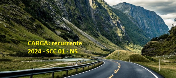 SCC 01 RECURRENTE -NS